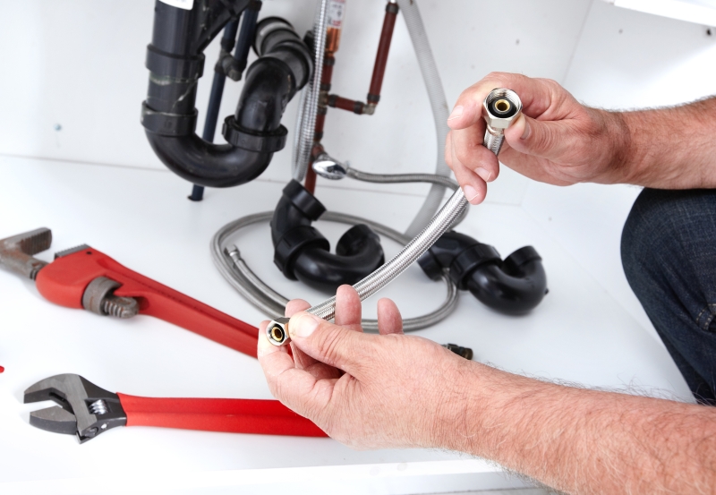 Toilet repair being carried out in Brentford